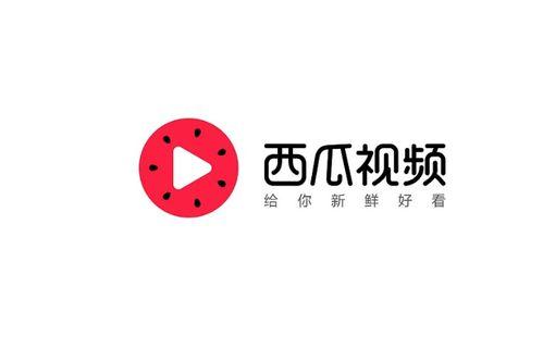 今日头条阿瓜图片,捕捉生活瞬间，展现人间百态