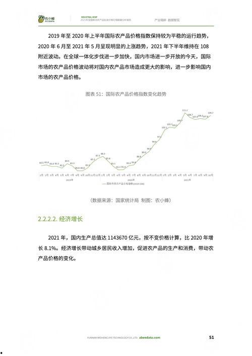 今日小吊瓜行情分析报告,洞察市场动态，把握商机新机遇