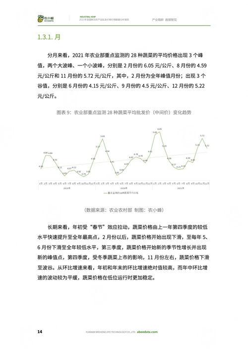 今日小吊瓜行情分析报告,洞察市场动态，把握商机新机遇