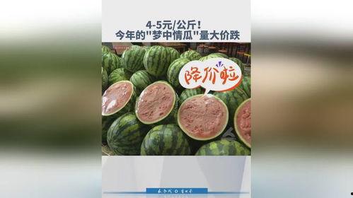 大瓜今日价格,市场行情一览