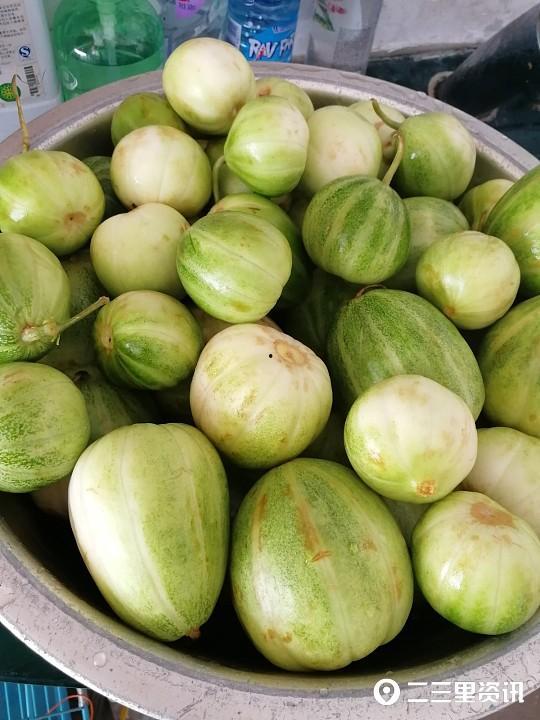 今日黄荆门瓜价格,今日行情一览”