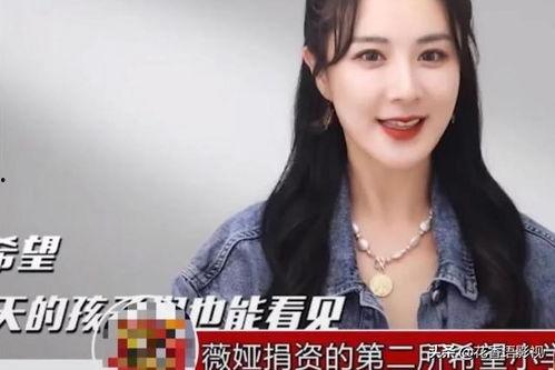 明星网红为什么捐款少,明星网红捐款背后的真相与反思