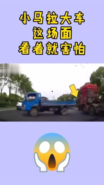 今日吃瓜小马拉大车,揭秘今日吃瓜界的奇闻轶事