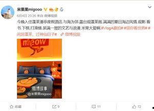 清水湾明星网红打卡地,明星同款美景，解锁时尚生活新地标