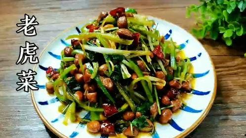 今日吃瓜51老虎菜