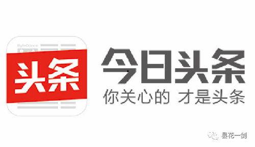吃瓜安安今日头条