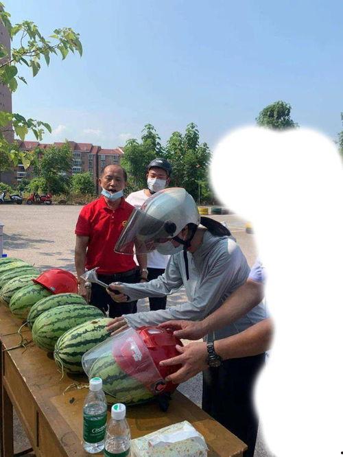 今日吃瓜51唐山,揭秘今日热点吃瓜事件背后的真相