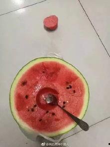 今日快乐源泉吃瓜,吃瓜群众狂欢盛宴