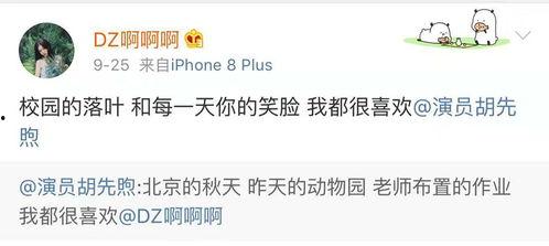 明星网红的文案哪来的,打造爆款内容的秘诀