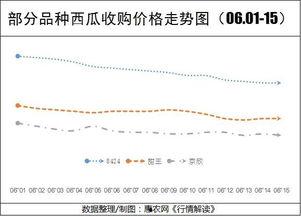 夏邑今日瓜价行情走势,今日瓜价走势分析