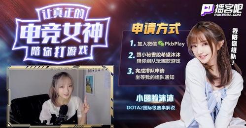 明星网红类热点新闻,揭秘幕后真相与公众舆论风暴