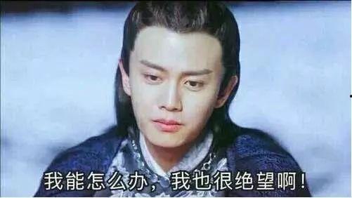 任嘉伦今日吃瓜视频大全,趣味瞬间尽收眼底