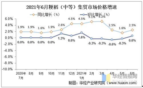 凉瓜今日价格行情走势,今日行情走势解析