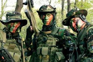 特种兵系列电视剧,特种兵系列电视剧中的英勇传奇