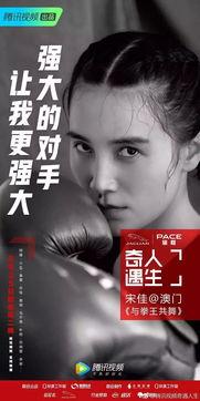 明星网红同款文案大全,揭秘热门爆款背后的秘密