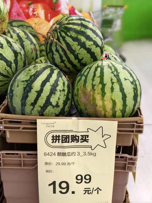 无籽麒麟瓜批发今日,今日无籽麒麟瓜批发市场行情一览