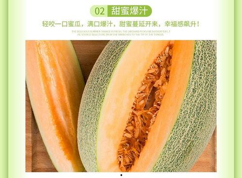 晓蜜哈密瓜今日价格行情,价格波动解析与市场趋势洞察”