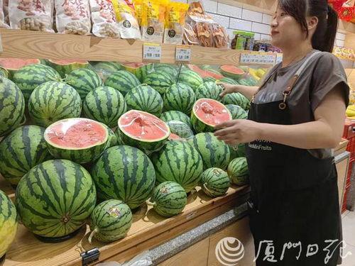 今日嫩瓜价格最新行情,今日价格走势一览