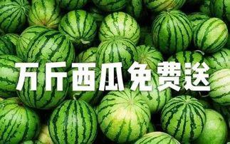 今日吃瓜免费,揭秘娱乐圈最新热点事件