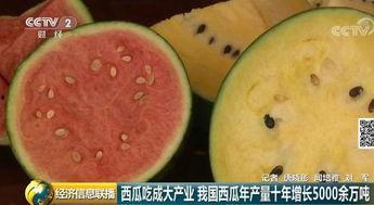 吃瓜群众今日必吃大瓜,揭秘娱乐圈最新热点事件