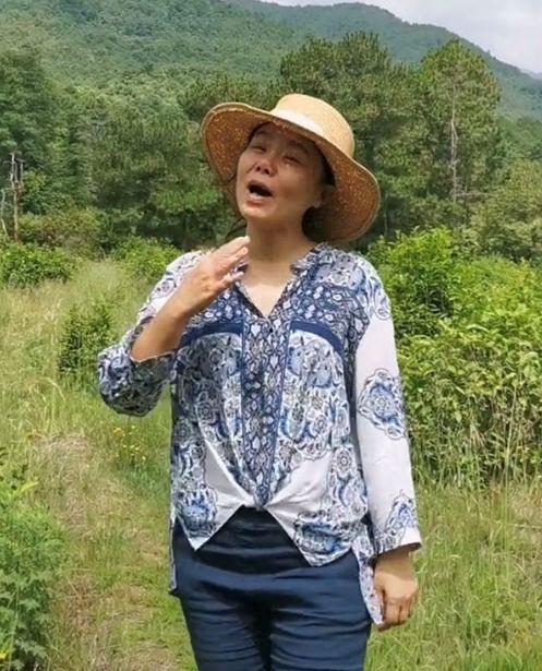 大理明星网红是谁啊,揭秘大理的璀璨星辉