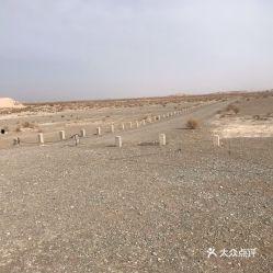 瓜州县今日猪价价格,行情稳定，养殖户信心增强