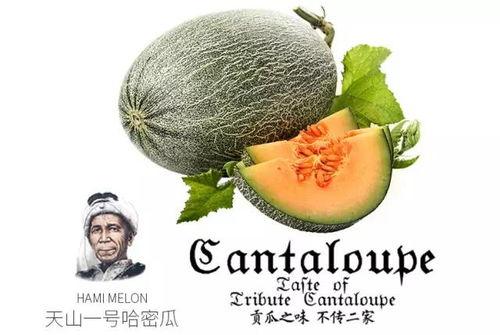 今日吃瓜推荐官,揭秘娱乐圈最新热点事件