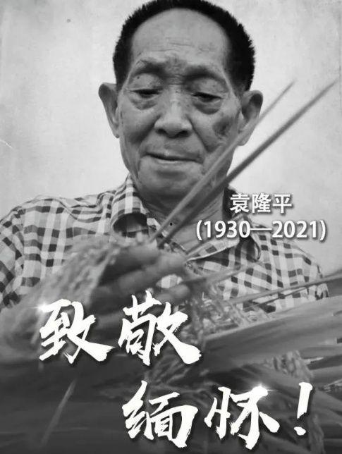 明星网红见到袁隆平了吗,共见袁隆平院士风采