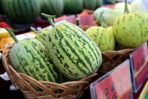 莘县燕店小吊瓜今日价格,今日价格行情一览”
