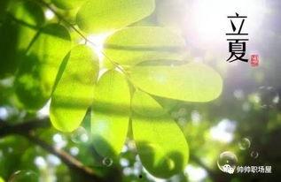 王瓜生今日立夏,王瓜生迎来丰收盛宴