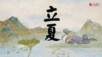 王瓜生今日立夏,王瓜生迎来丰收盛宴