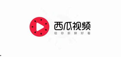沈小瓜今日头条,揭秘娱乐圈幕后故事，带你走进明星真实生活