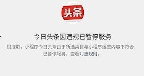 沈小瓜今日头条,揭秘娱乐圈幕后故事，带你走进明星真实生活