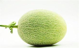 脆瓜今日价格行情最新消息,最新行情解析与市场动态一览”