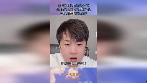网红爆料仓今日吃瓜,仓今日吃瓜，揭秘娱乐圈最新热点