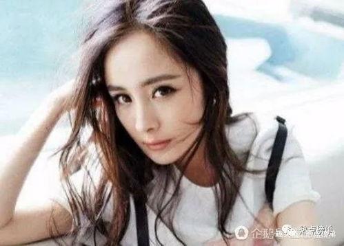 扒皮明星网红排名榜,揭秘娱乐圈真实排名榜
