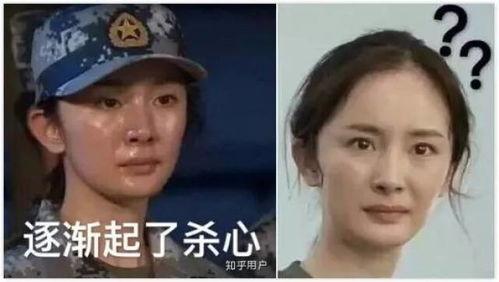 表情包明星网红图片大全,笑料横生！表情包明星网红图片大盘点
