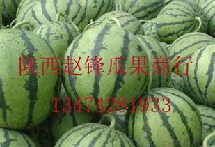 今日新疆瓜批发价格,品质瓜果备受青睐