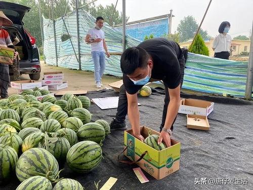 今日大瓜墙,揭秘娱乐圈最新热点事件