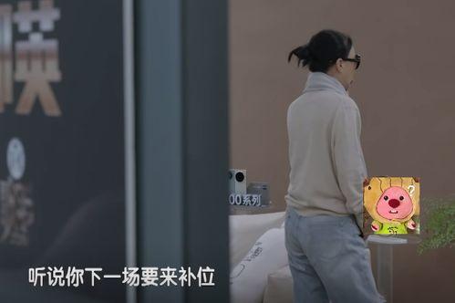明星网红为什么翻车了,从辉煌到低谷的惊人真相