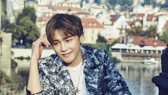 卖字画明星网红叫什么,揭秘卖字画明星网红的传奇人生