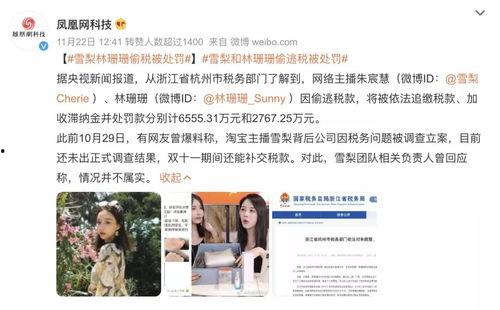 明星网红为什么要缴税,网红明星缴税背后的法律与道德考量