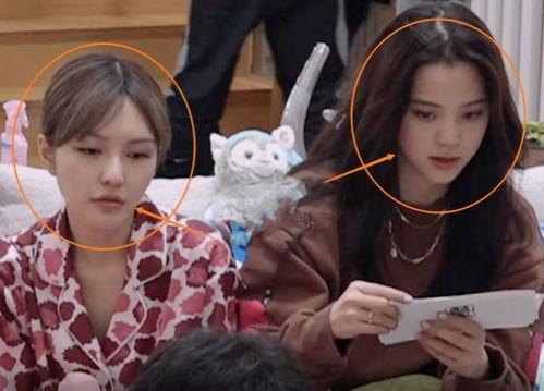 明星网红同框壁纸高清,高清壁纸中的时尚盛宴