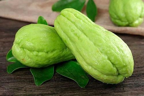 河北省佛手瓜价格今日价,市场波动下的最新动态”