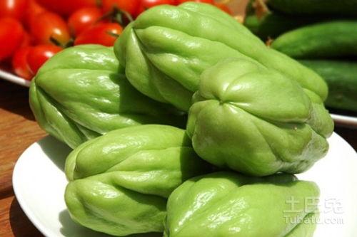 河北省佛手瓜价格今日价,市场波动下的最新动态”