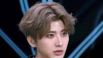 姓蔡的明星网红有哪些,网络红人中的璀璨星辰