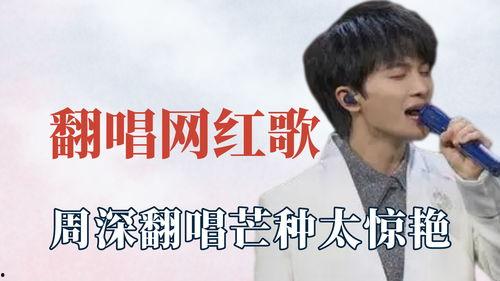 明星网红音乐有哪些歌曲,明星网红音乐精选歌曲盘点