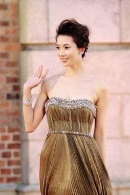 明星网红背景图片,揭秘明星网红背后的故事与魅力