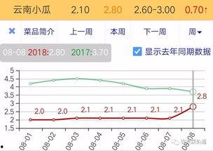 云南小瓜价格今日价格表,波动与趋势分析
