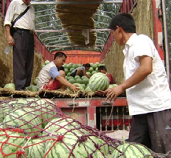 开封今日瓜价,新鲜瓜果价格一览